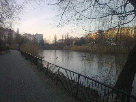 2013.1.8._feneketlen_tonal_10.jpg